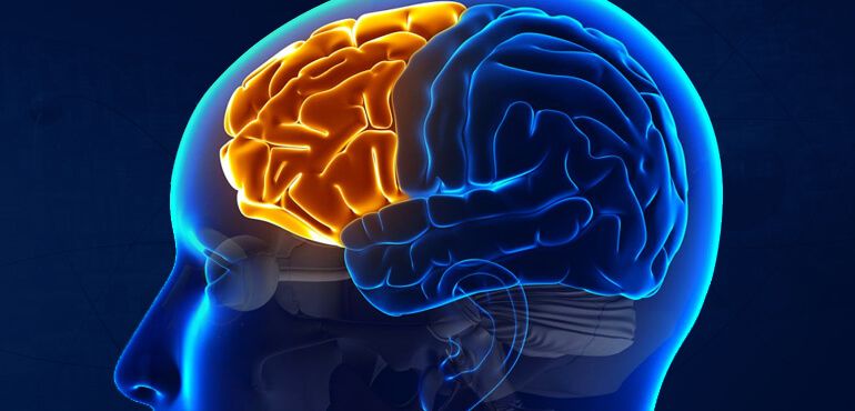 Human Brain Memory