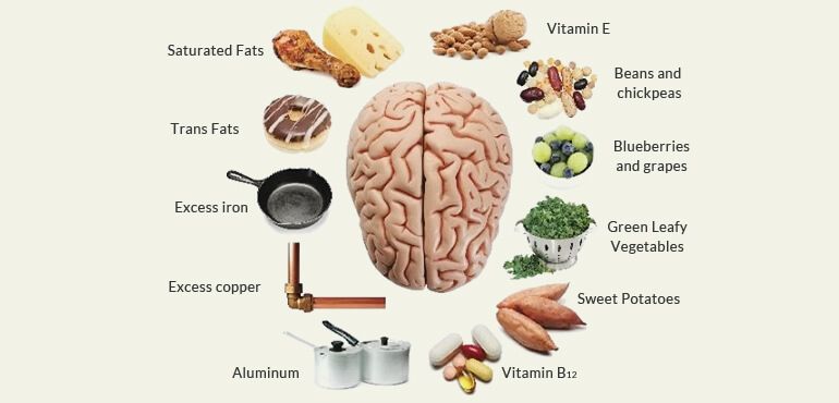 Necessary Nutrition for The Brain to Enhance Brain Power